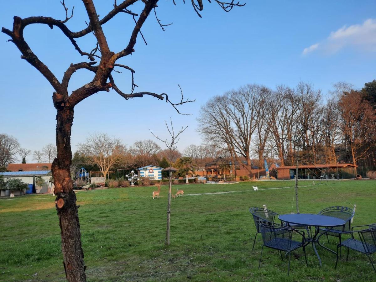 B&B Casa Roman & Vakantiewoning Voor 1 Pers Tot Max 32 Personen Zonhoven Eksteriør bilde